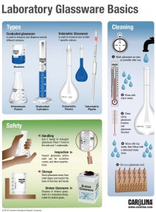 Learn the basics of laboratory glassware and how to care for it with this simple infographic.