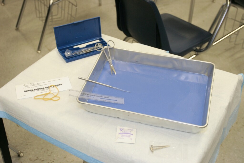 dissection supplies