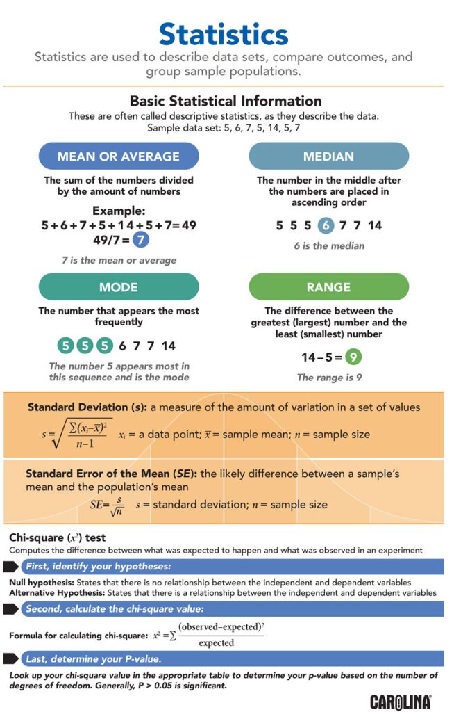 Statistics Infographic