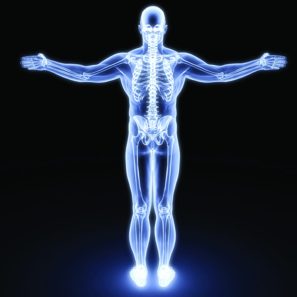 Genomics and Understanding What It Means to Be Human Genomics and Understanding What It Means to Be Human