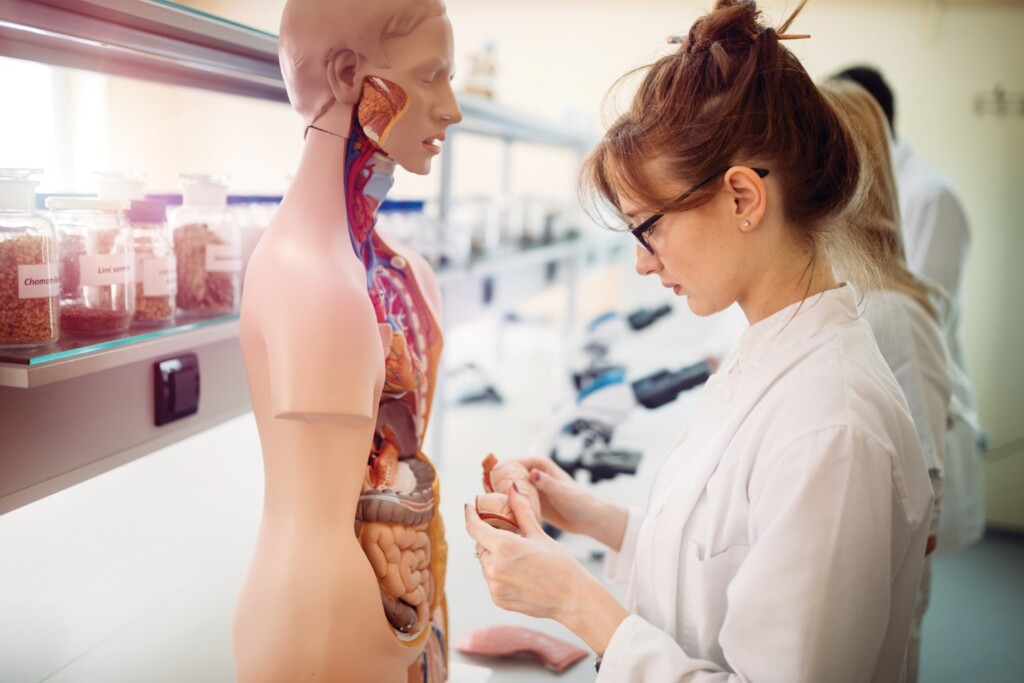 anatomy and physiology
