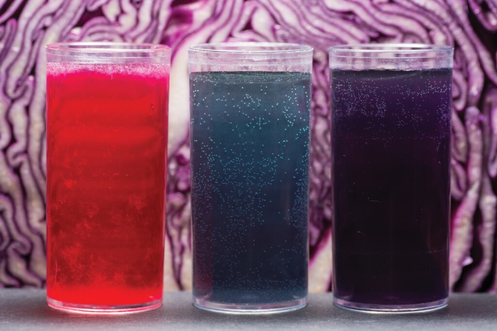 homemade ph solution