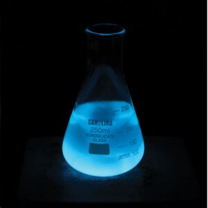 BIoluminescence