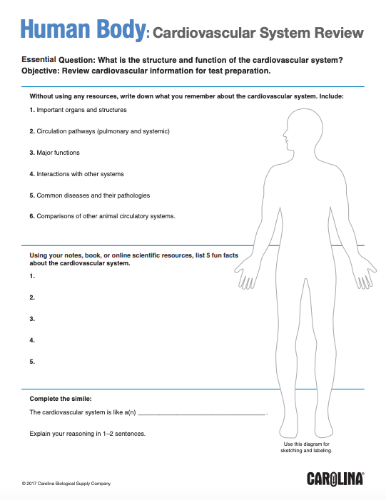 cardiovascular review