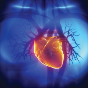 cardiovascular
