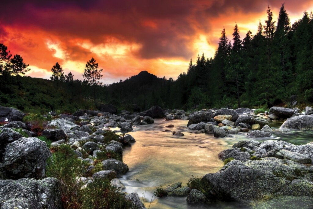 sunset