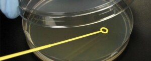 Introduction to Sterile Technique Kit