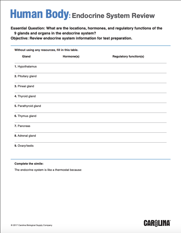 Endocrine review cover