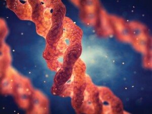 dna strand
