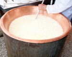 cheese making