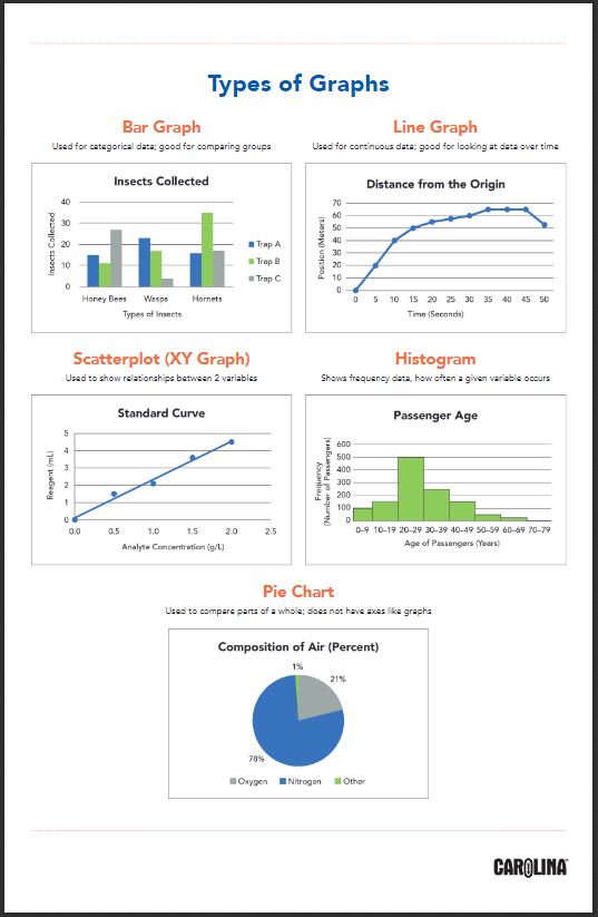 Plotting & Reading Graphs Real-Life Math Project