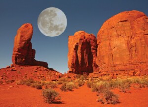 shutterstock_11739886