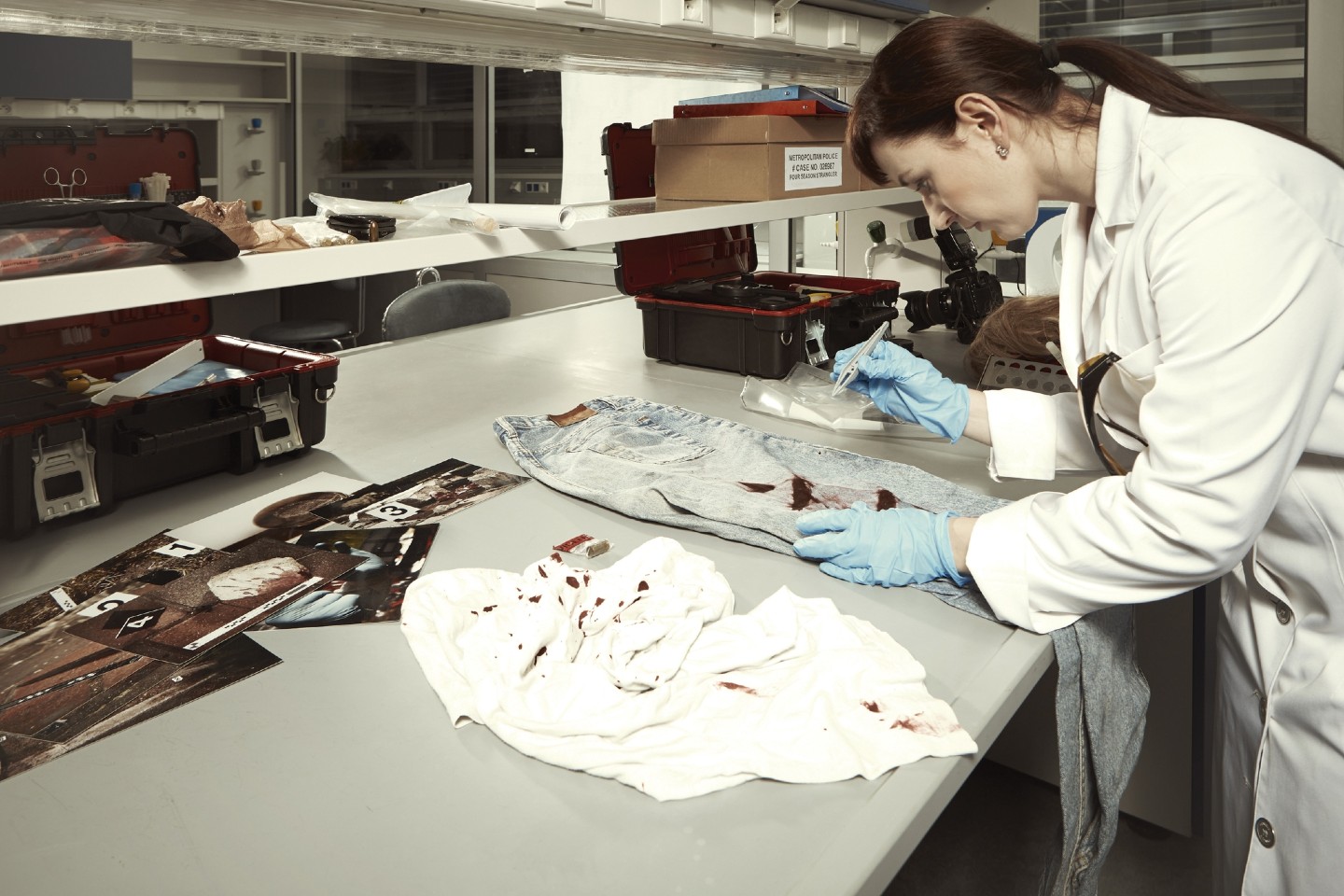 A forensic scientist examines bloodstain evidence.