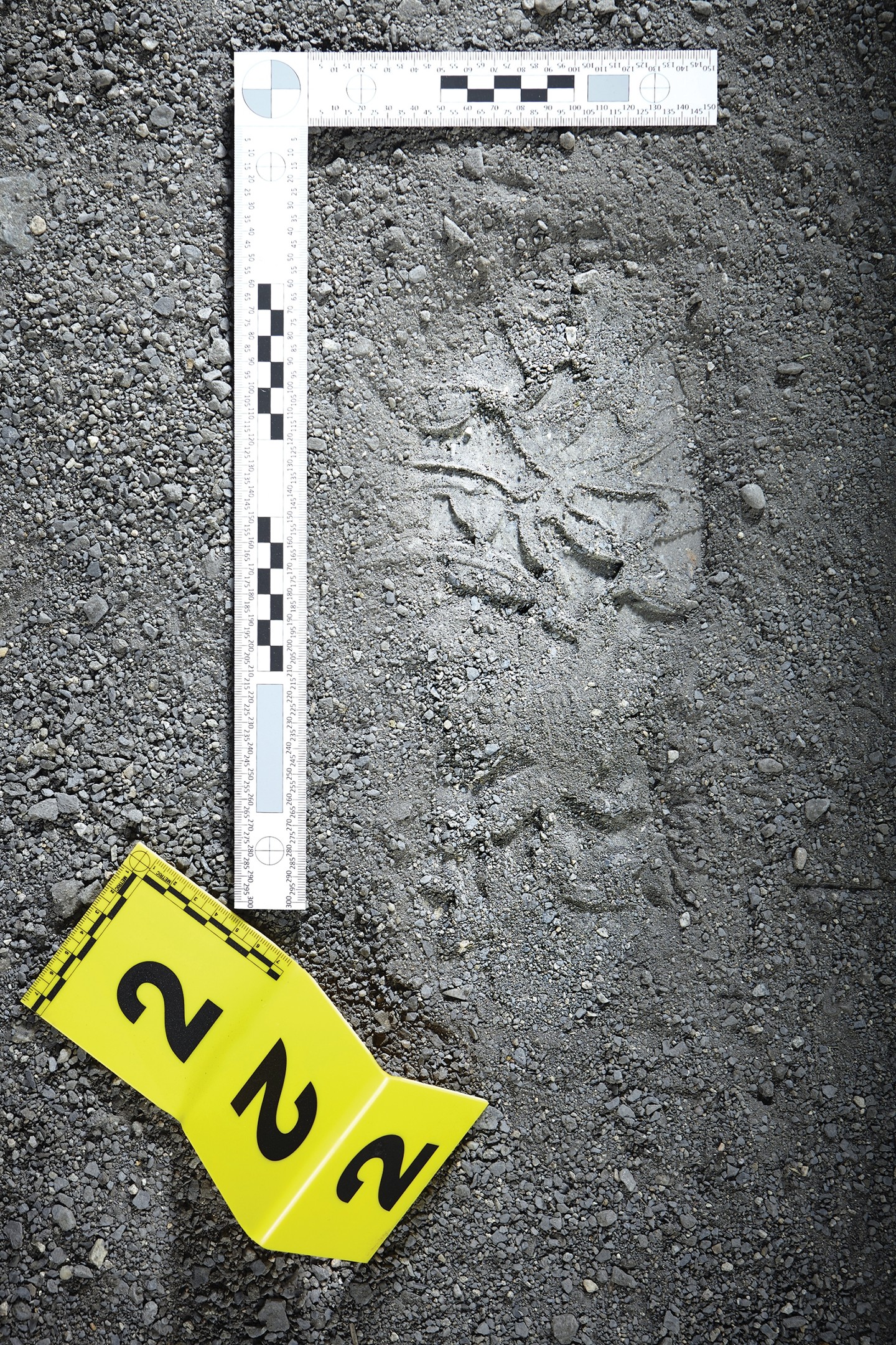 Crime scene investigation - the footprint of a criminal.