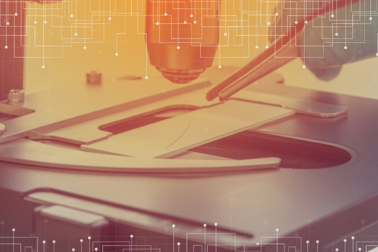 Scientists proving the DNA from the hair in the lab.