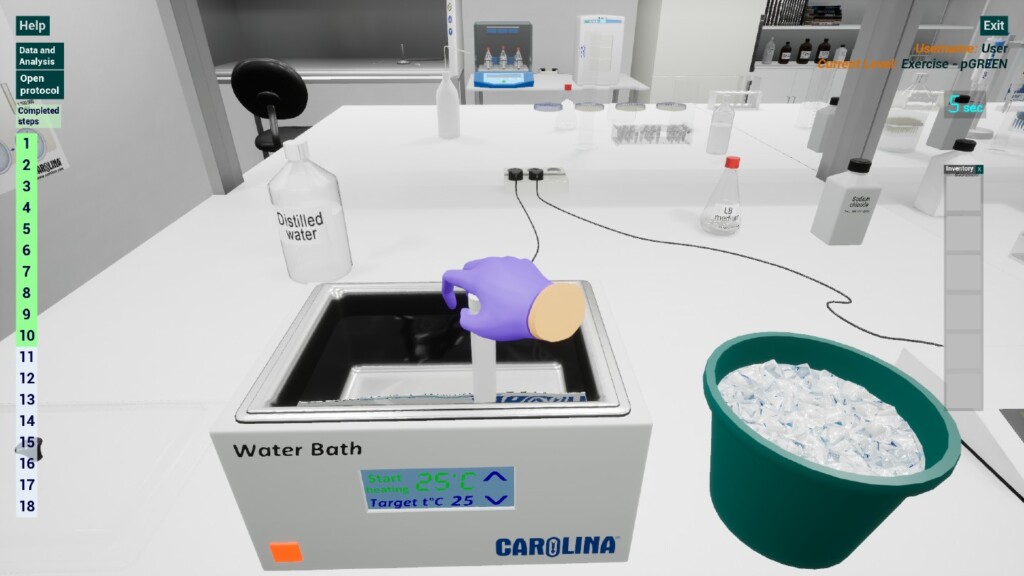 Heat shock of bacterial cells as shown through the Carolina Biotechnology Simulator by Epic Games, Inc.