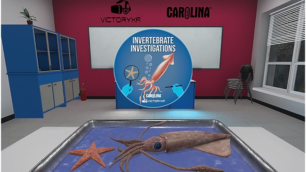 VR Invertebrate Dissection