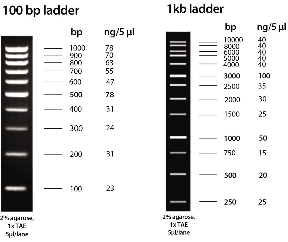 Biotech ladders.