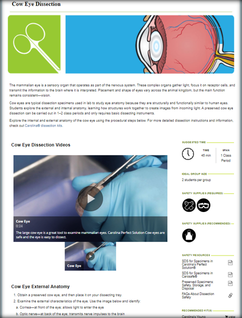 dissection_guide