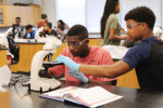 Students use a microscope
