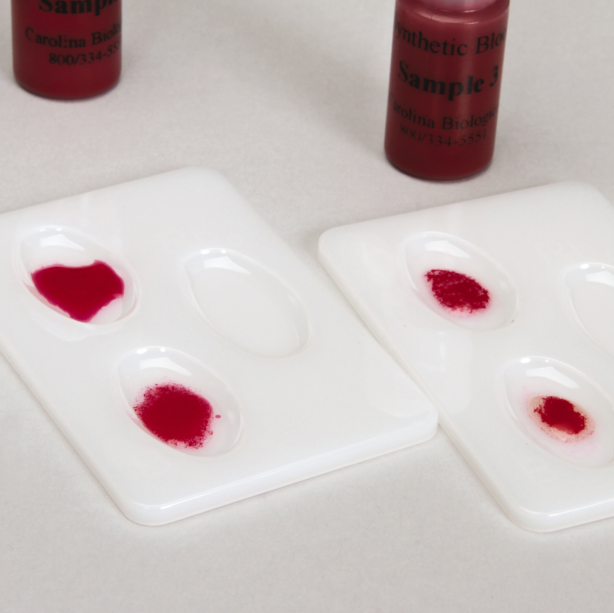 Carolina Synthetic Blood: Whose Baby?  Kit