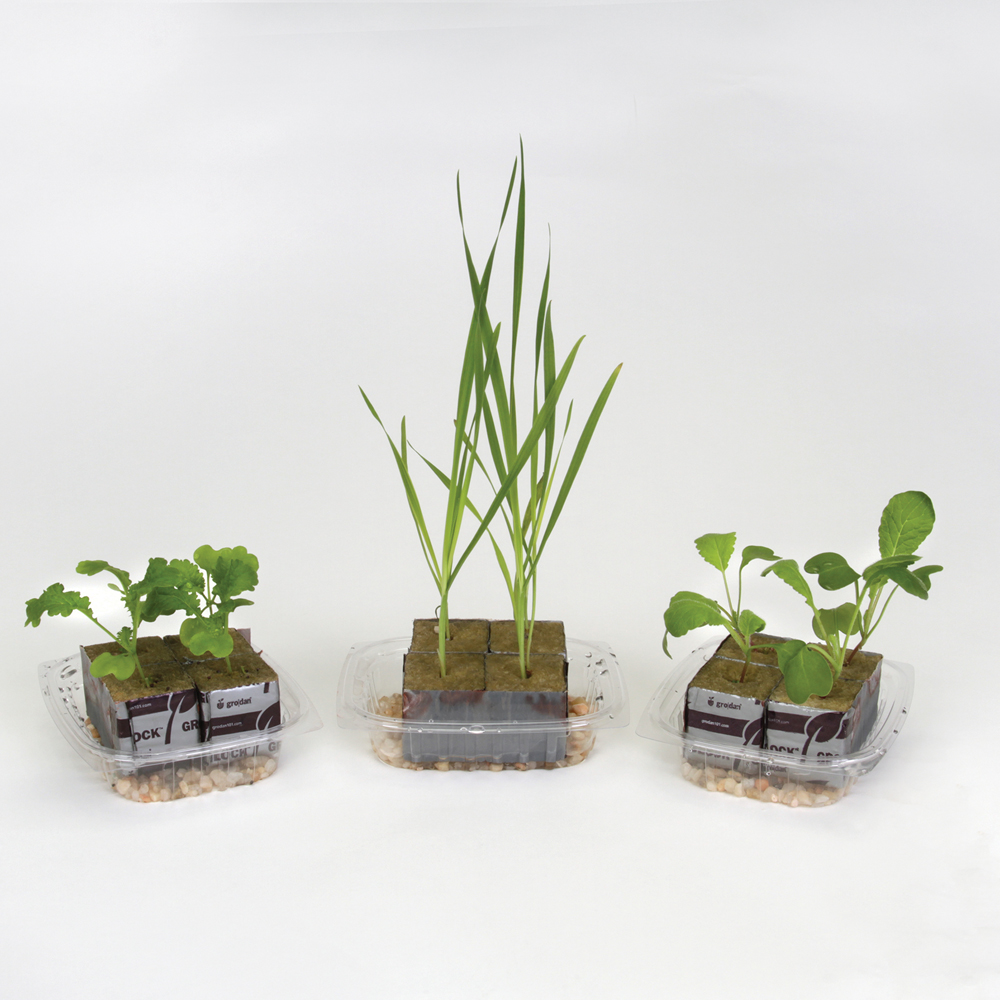students design a solution for producing enough food for growing populations and the shift from rural to urban communities