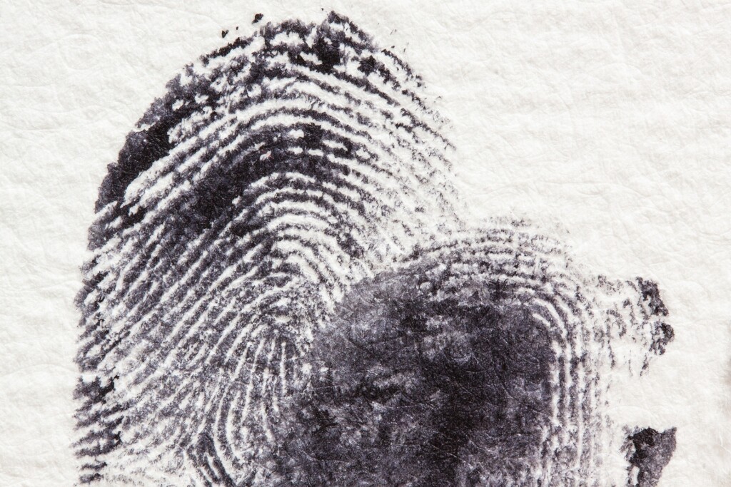 fingerprint-gce009ae73_1920