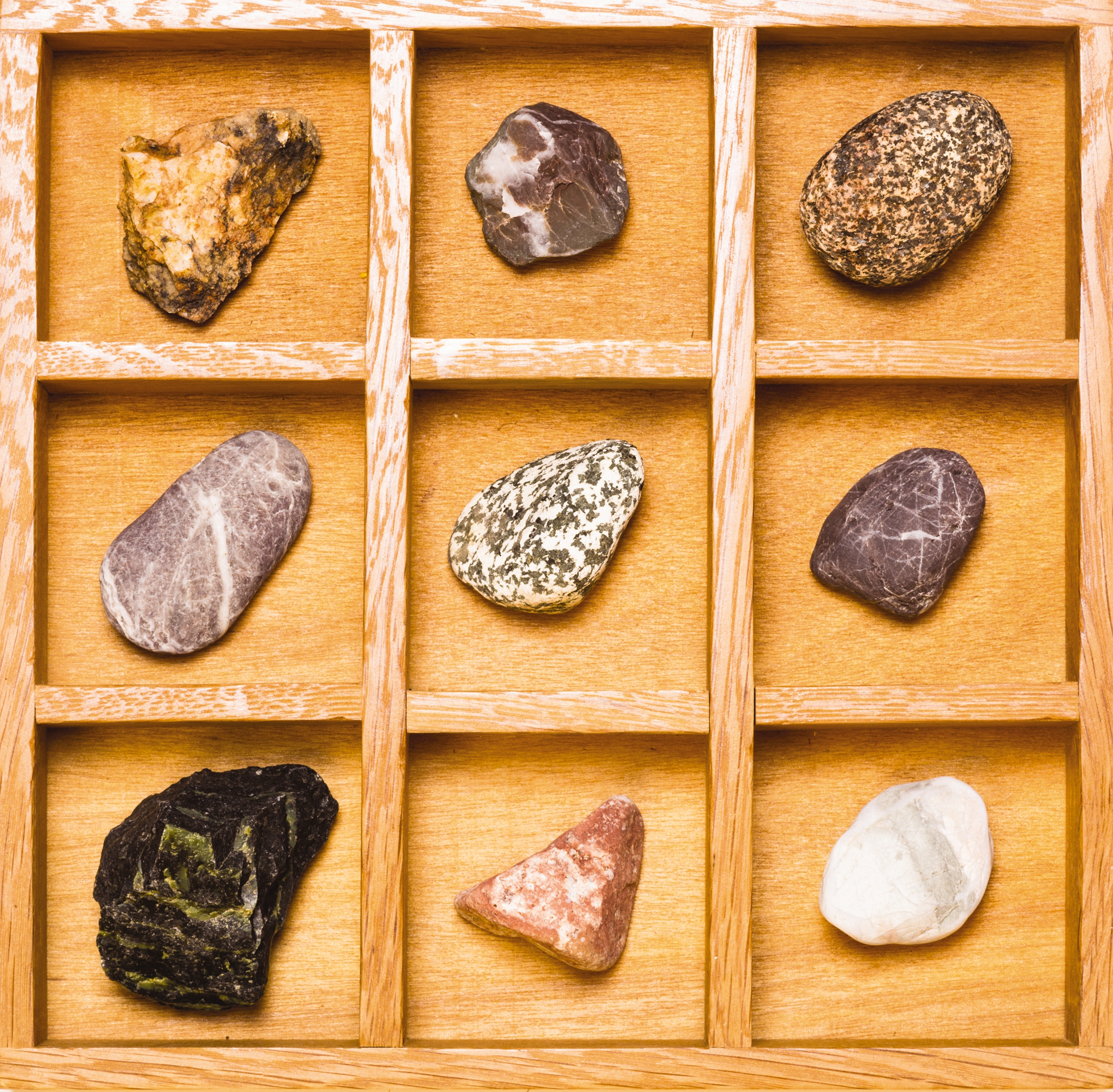 Wooden shadow box with collection of rocks and minerals;