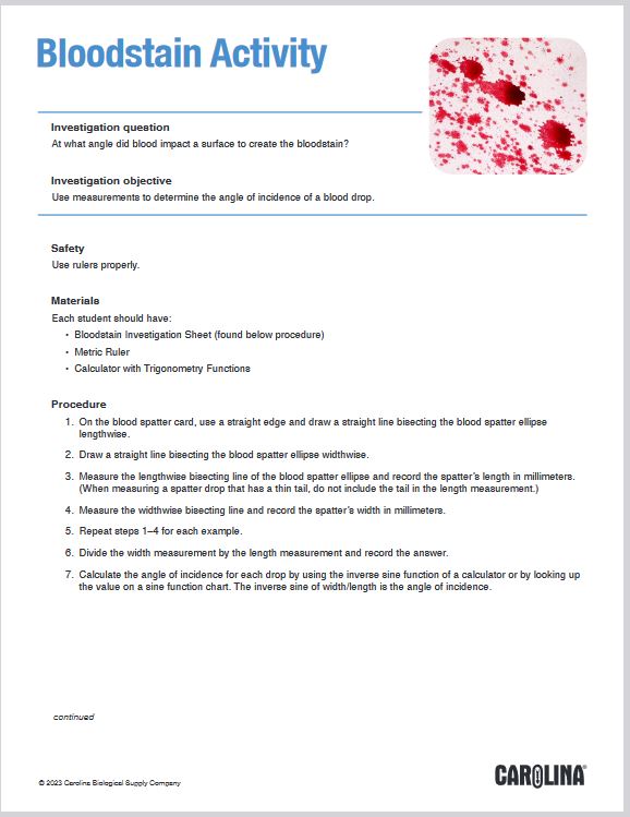 Bloodstain Activity Sheet
