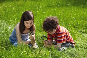Students investigate the world around them.