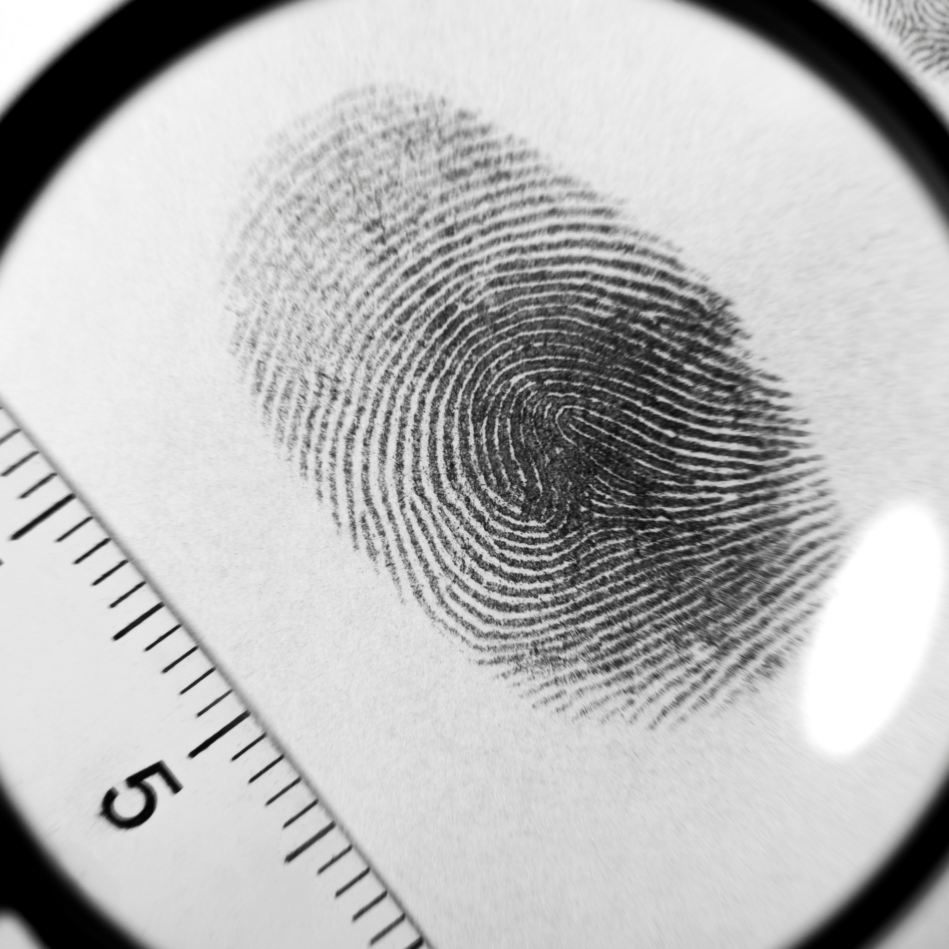 Fingerprint sample on white paper