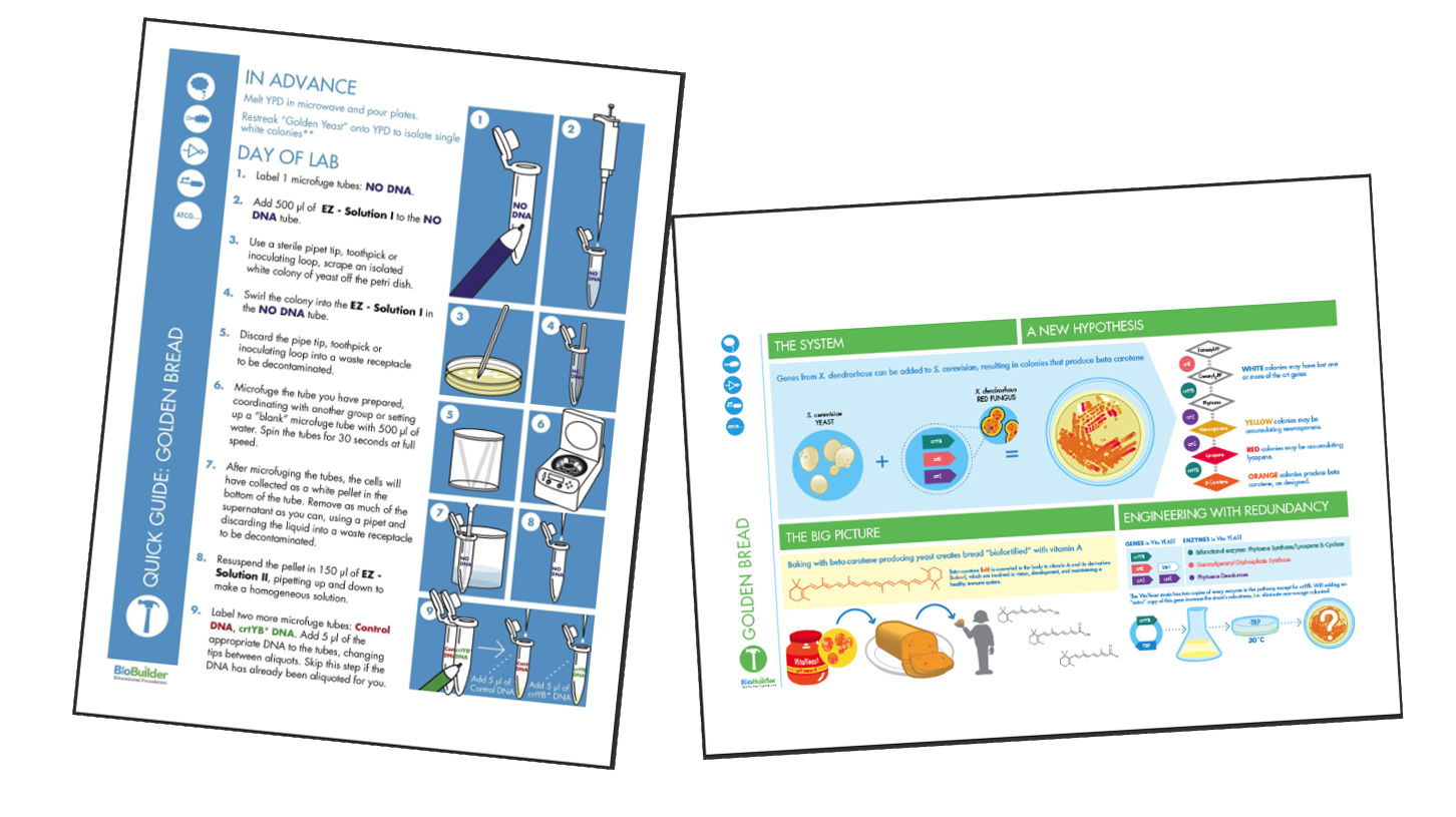 BioBuilder kits feature full color and graphically rich instructional guides that make it easy for students to follow lab procedures and learn engineering concepts.