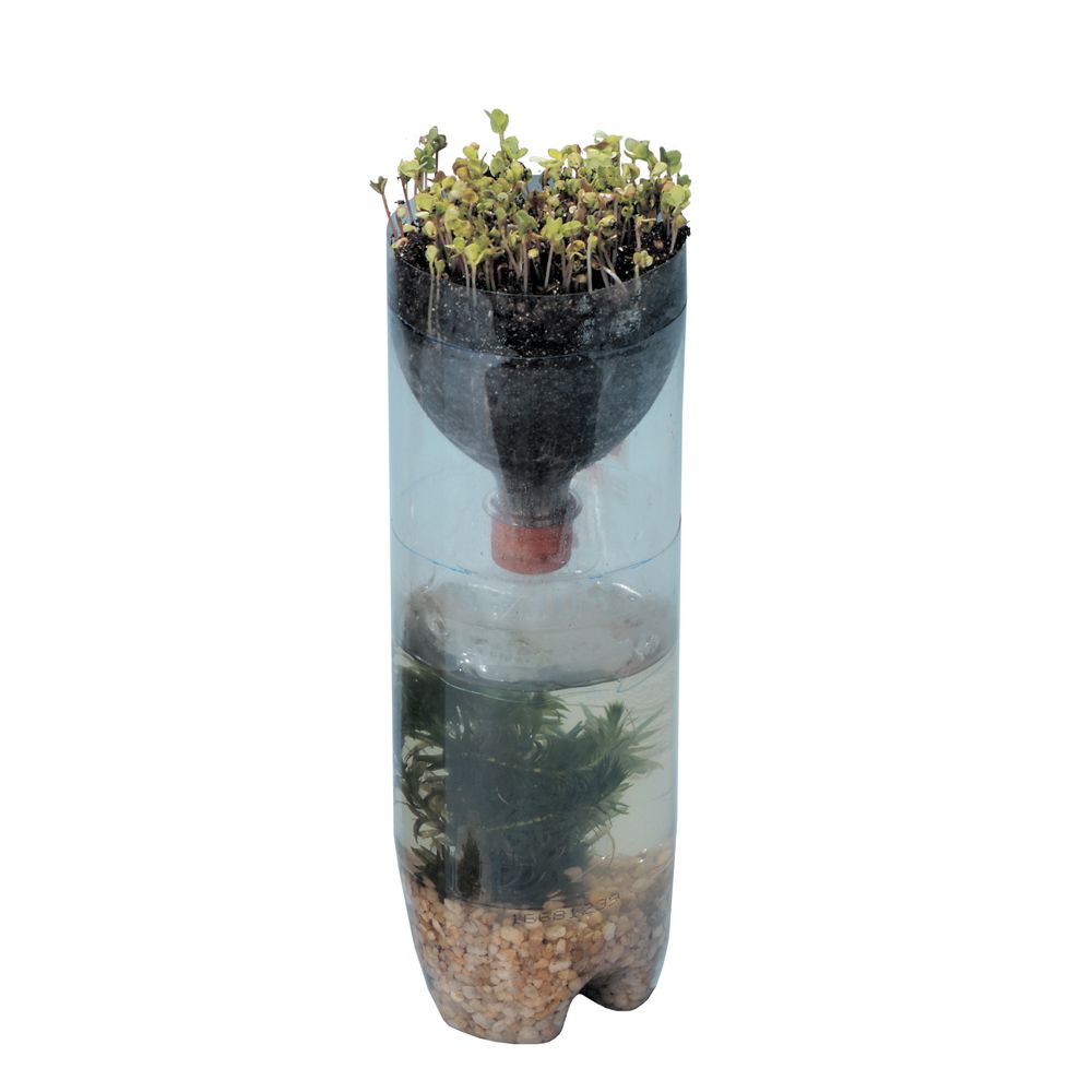 Recycle 2-L plastic bottles as a TerrAqua Column and study the connections between aquatic and terrestrial ecosystems.