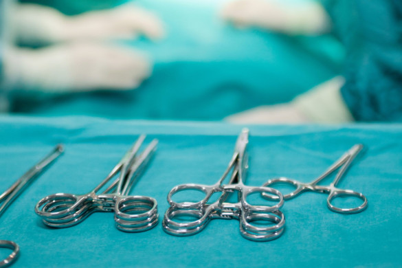 FAQs about Dissection Safety - Carolina Knowledge Center