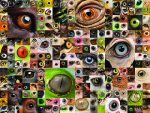 Eyes of many different organisms