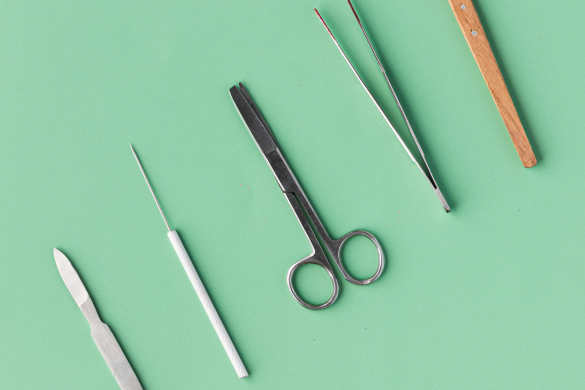 FAQs about Dissection Safety - Carolina Knowledge Center