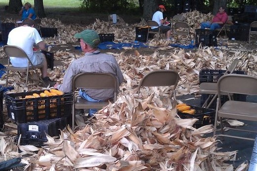 corn shucking (2)