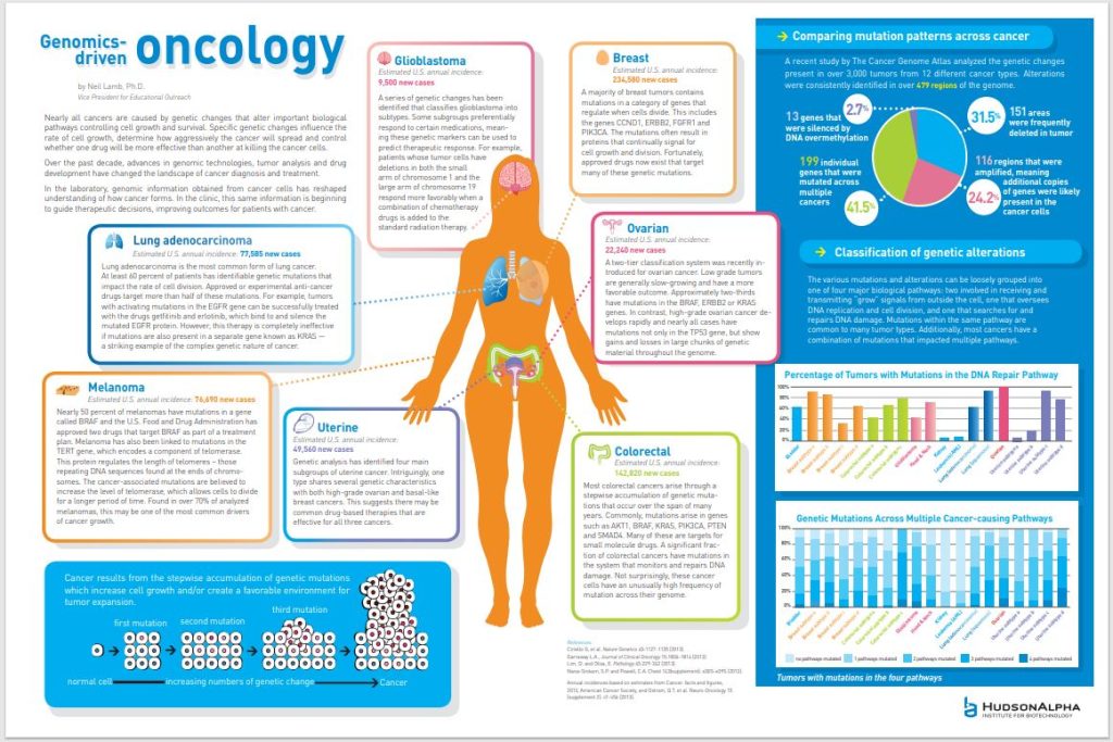 Nearly all cancers are caused by genetic changes that alter important biological pathways controlling cell growth and survival. Specific genetic changes influence the rate of cell growth, determine how aggressively the cancer will spread and control whether one drug will be more effective than another at killing the cancer cells.