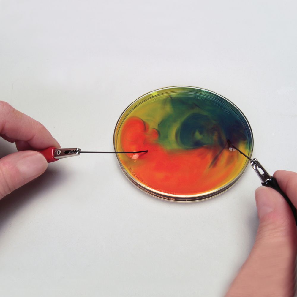 This simple microscale electrolysis activity yields 2 pure diatomic gases, hydrogen and oxygen, from water in a petri dish. With the addition of Bogen universal indicator solution to the reaction, pH color changes help students understand what is happening at each electrode in the petri dish.