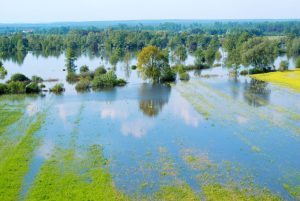 Flood