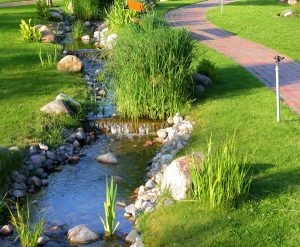 This stream is clearly in an urban environment, but there is riparian vegetation and a low, gentle bank. Further testing (chemical, biodiversity) would be needed to classify it. (Some may correctly identify this as an example of urban stream restoration.)