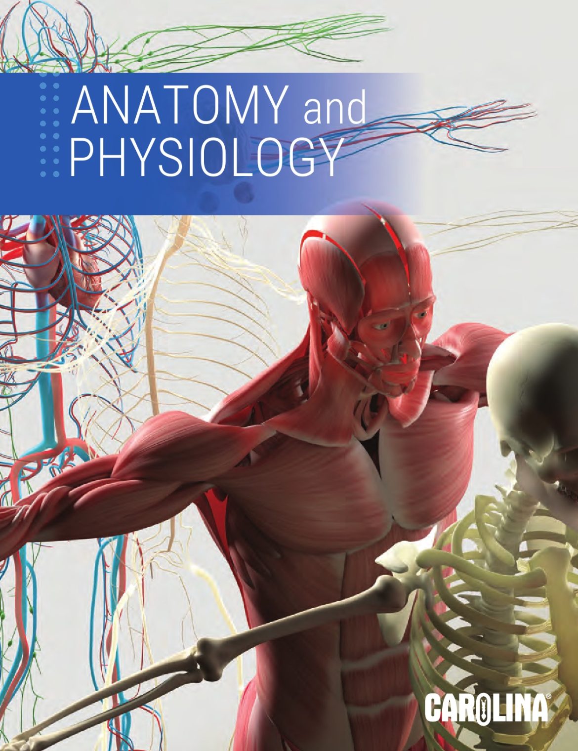 Anatomy & Physiology Carolina Knowledge Center