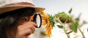shutterstock_1626767965