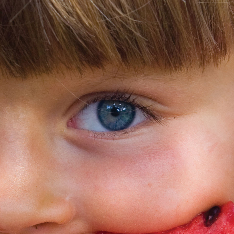 ocular-dominance-feature