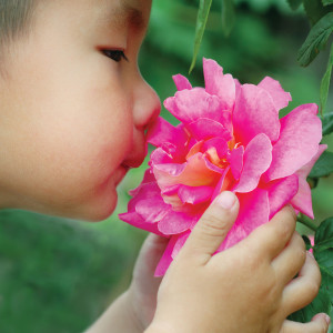 sense-smell-feature