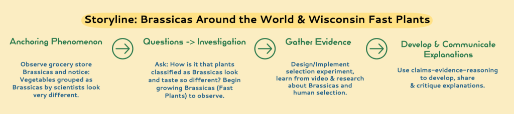 Storyline: Brassicas Around the World and Wisconsin Fast Plants