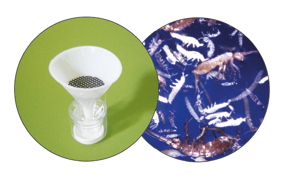 berlese funnel