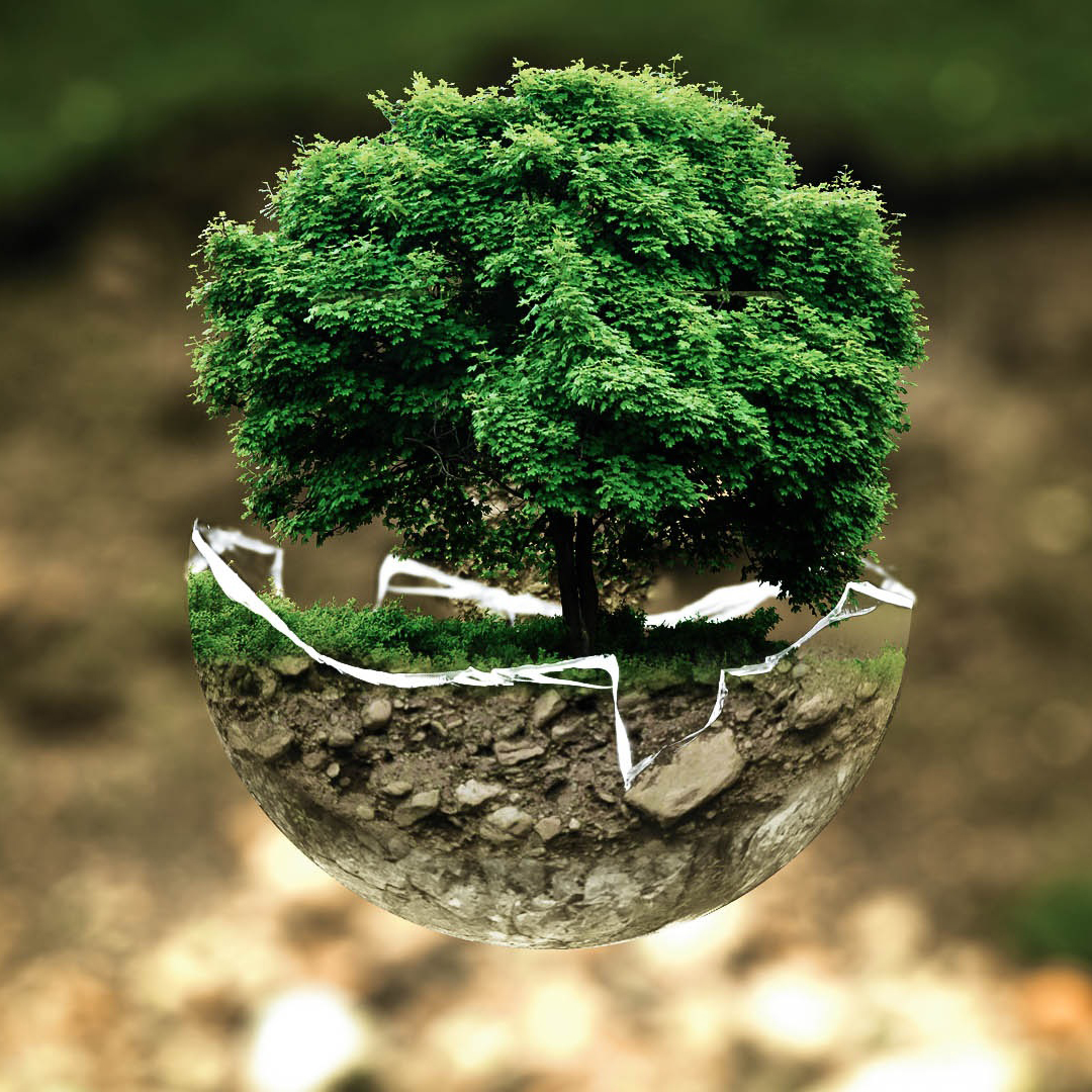 environmental-protection-sq