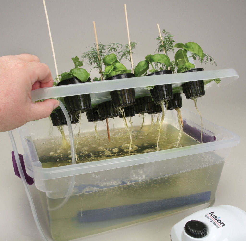 materials-plants-feature