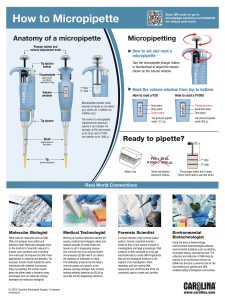 How to Micropipette Poster
